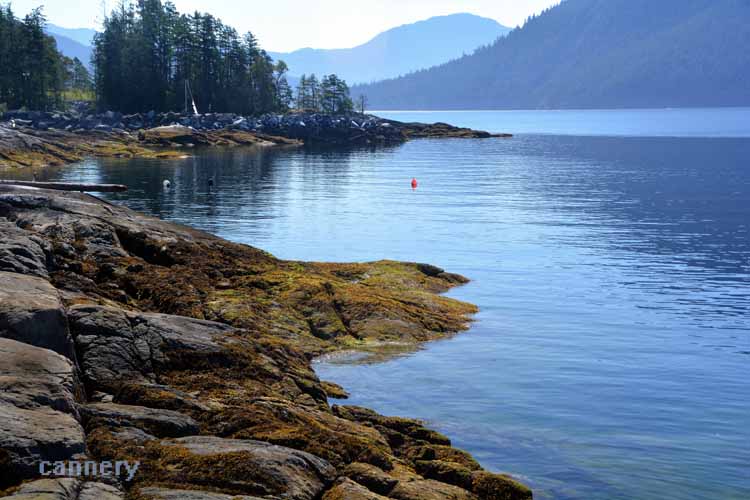 rocky bay scene